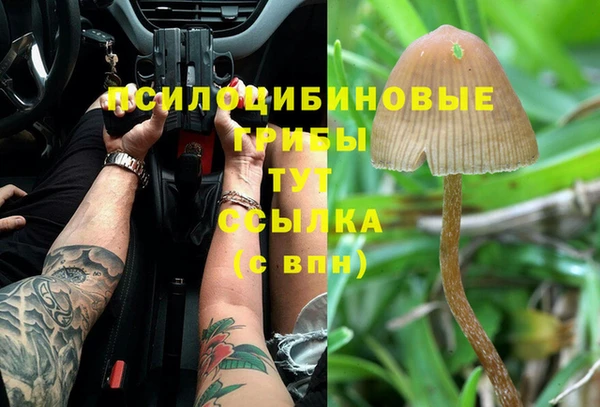 spice Беломорск