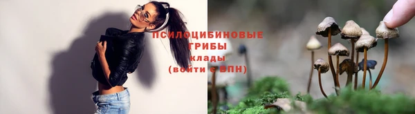 spice Беломорск