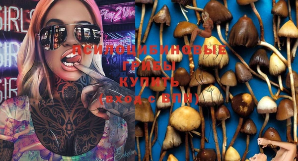 spice Беломорск
