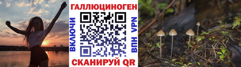 Галлюциногенные грибы GOLDEN TEACHER  Купить  Короча 